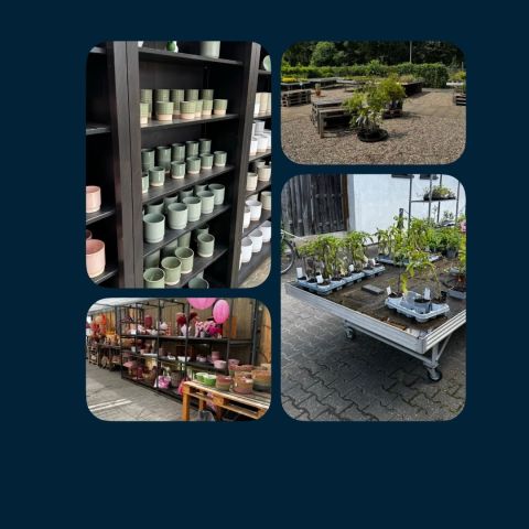 Insolvenz-Versteigerung Blumenhof Bersch GmbH