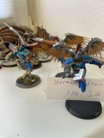 5607.22 => 1 Pos. Stormcast Eternals, 3 St&uuml;ck