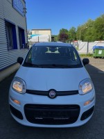 5214.550 => 1 PKW Fiat Panda 1,0 GSE Hybridfahrzeug, Benzin/Elektro