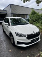 5214.561 => 1 PKW Skoda Fabia 1.0 MPI Active