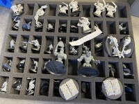 4932.11642 => 1 Pos. Skaven Rattenoger, 62 St&uuml;ck unbemalt