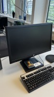 5590.172 => 1 Widescreen-TFT-Monitor HP, 24 Zoll