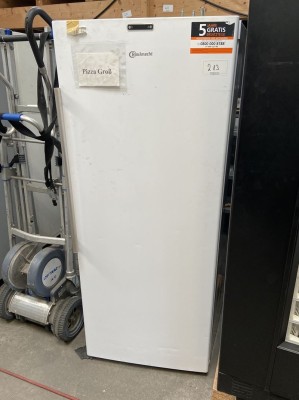 5441.213     =>    1 Tiefkühlschrank Bauknecht CV77HEU