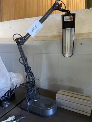 Bild 5590.1489 => 1 Tischleuchte