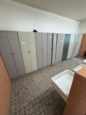 5646.230 => 1 Pos. Spindschränke, 15 Stück, Blech